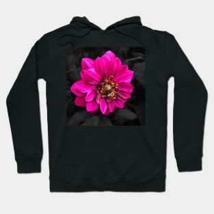 Busy Bee Fashion and Home Decor Hoodie